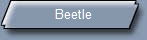 Beetle