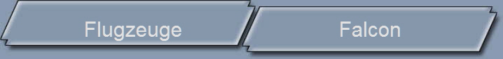 Flugzeuge                            Falcon            