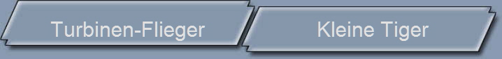 Turbinen-Flieger                    Kleine Tiger       
